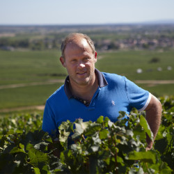 BEAUNE "Les Epenotes"
