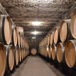 BEAUNE "Les Epenotes"